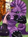 Zebra-BJ_u18chan.jpg