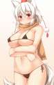 yande.re 347627 animal_ears bikini breasts cameltoe erect_nipples inubashiri_momiji swimsuits tail touhou yuu_(yu0221f).png