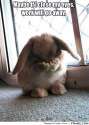 frabz-Maybe-if-I-close-my-eyes-work-will-go-away-67bb0b.jpg