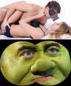 shrekfun_v001.jpg