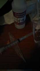 IMAG0649.jpg