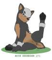 Houndour6.jpg