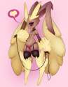 Lopunny74.jpg