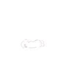 baps.png