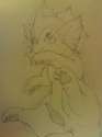 Vaporeon1.jpg