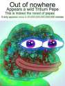 1466019873439.jpg