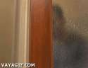 1469825367692.gif