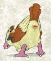 Pidgey3.png