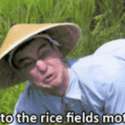 Rice.gif