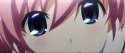 sachii271.png