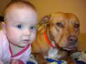 What-is-Nanny-Dog-Breeds[1].jpg