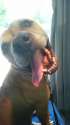 mms_img1796397738.jpg