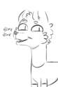 Cat.png