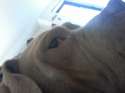 20160814_113344.jpg