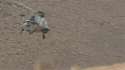 Eurocopter Tiger.gif