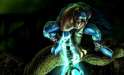 151578-raziel.jpg