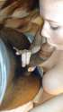 pic022.jpg