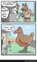 101_54daafced03ca.jpg
