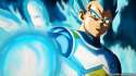super_saiyan_god_vegeta.jpg