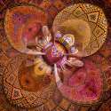 Nasir al-Mulk Pink Mosque01l.jpg