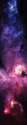 e51ab81f-8314-4f5d-87cc-ef36018db6b2.jpg