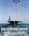 American-Freedom-Funny-pictures-planes-sheep-did-someone-order-some-freedom1.jpg