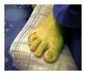 fionas_foot.jpg