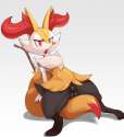 braixen7.jpg