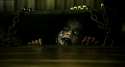1384408118107.gif
