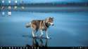 desktop.png