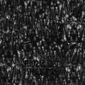 Trespass cover.jpg
