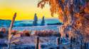 beautiful-winter-sunrise_685.jpg