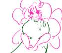 pinis.png