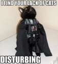 1299353060536_ITS_CATURDAY-s293x320-142591.jpg