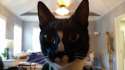 20160204_164329_resized.jpg