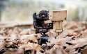 Danbo's_Autumn_shoot_2560x1600.jpg