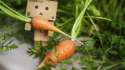 Danbo_&_carrots-ultra-hd-wallpapers.jpg