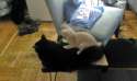 received_287070141674874.jpg