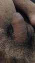 Small cock.jpg