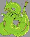 Rayquaza4.jpg