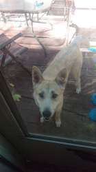 IMAG0225.jpg