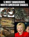 FB_IMG_1473547495096.jpg