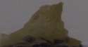sorting hat.png