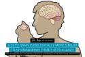 fact-39-a-cat_s-brain-is-biologically-more-similar-to-a-human-brain-than-it-is-to-a-dog_s.jpg
