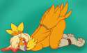 Torchic1.jpg