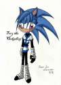 tory_the_hedgehog_by_daniel_gleebits.jpg