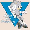 aiden_the_hedgehog___id_by_dark_winged_falcon-d800b09.png