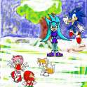 team_sonic_and_meredith_the_hedgehog_by_mariamoon2-d8viflr.png