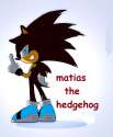 MATIAS THE HEDGEHOG.jpg