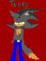 rq__terry_by_sira_the_hedgehog-d346ioi.jpg